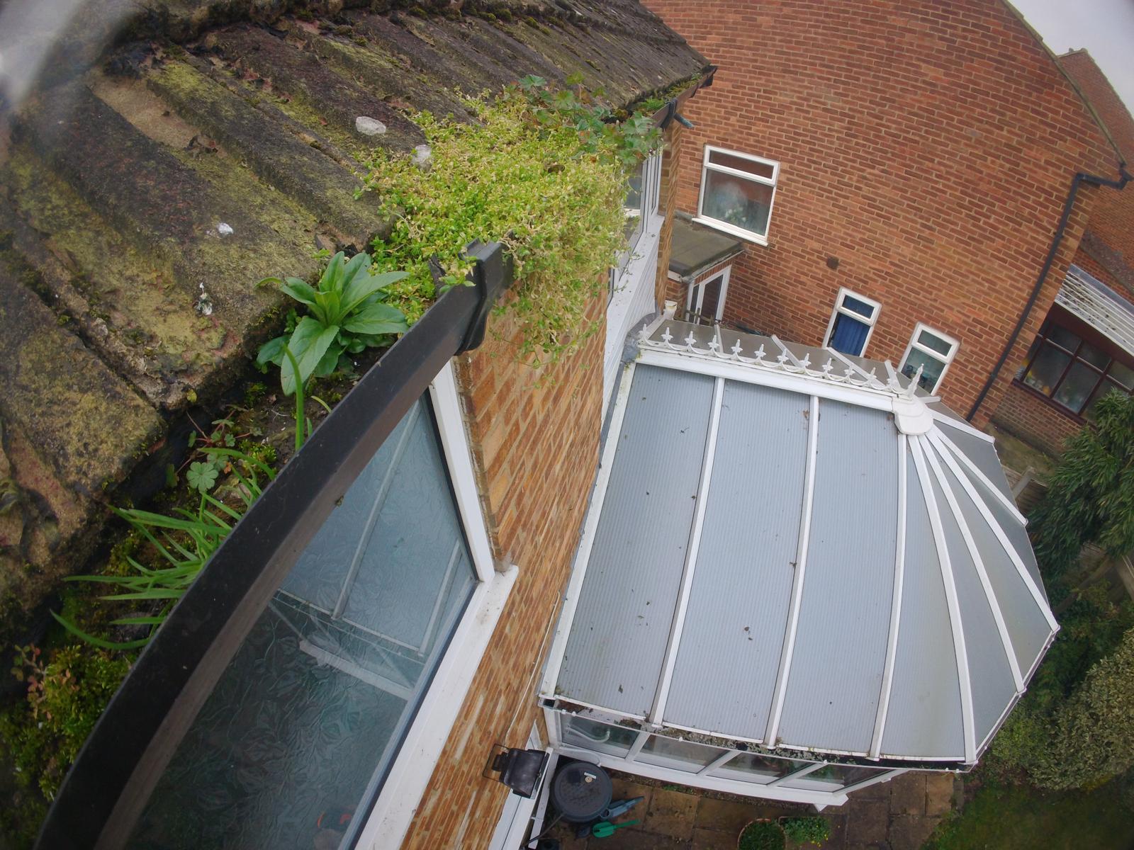 Conservatory roof with blocked gutter and plant growth needing professional cleaning