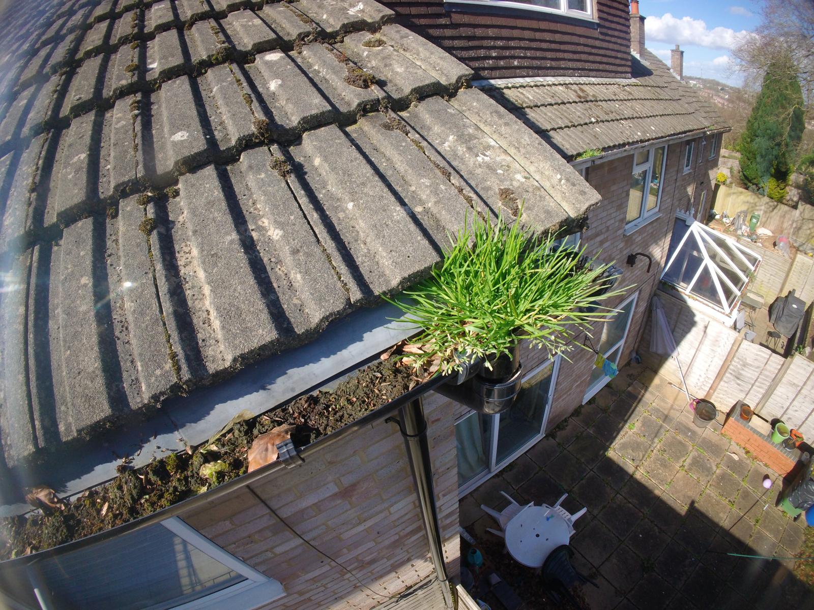 Detached Family Home — Aylesbury — before gutter clearing by Gutter Pro